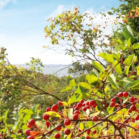 6 Person In Spottrup-by Traum