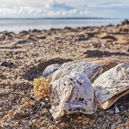 6 Person In Spottrup-by Traum بيت للعطل *