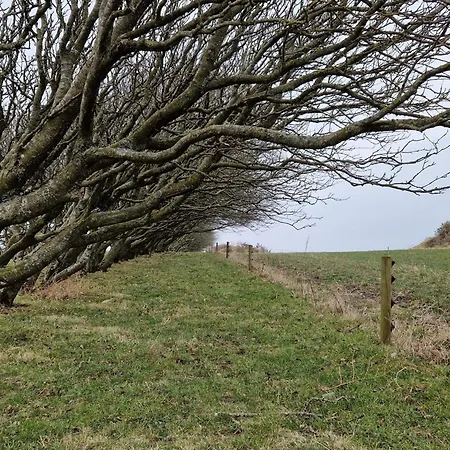 Prázdninový dům 6 Person In Spottrup